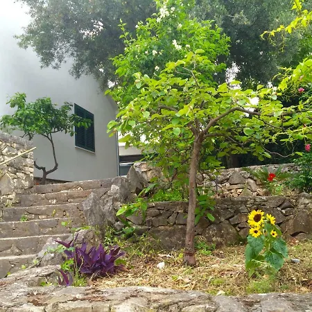 Bonjolo